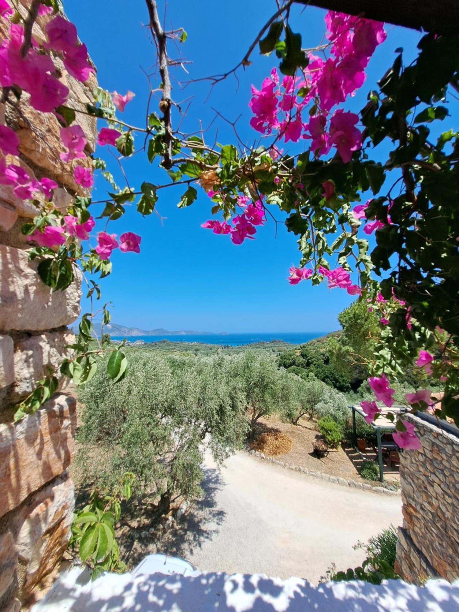 Lithakia  Tsivouli Accommodation מראה חיצוני תמונה